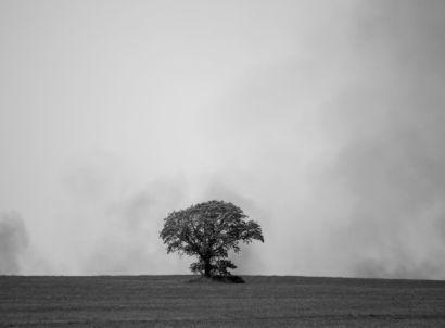 Thumbnail-Item-Image